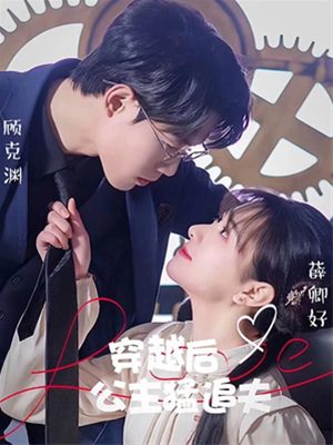 穿越后公主猛追夫