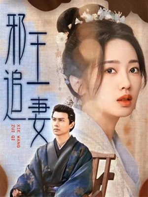 邪王追妻